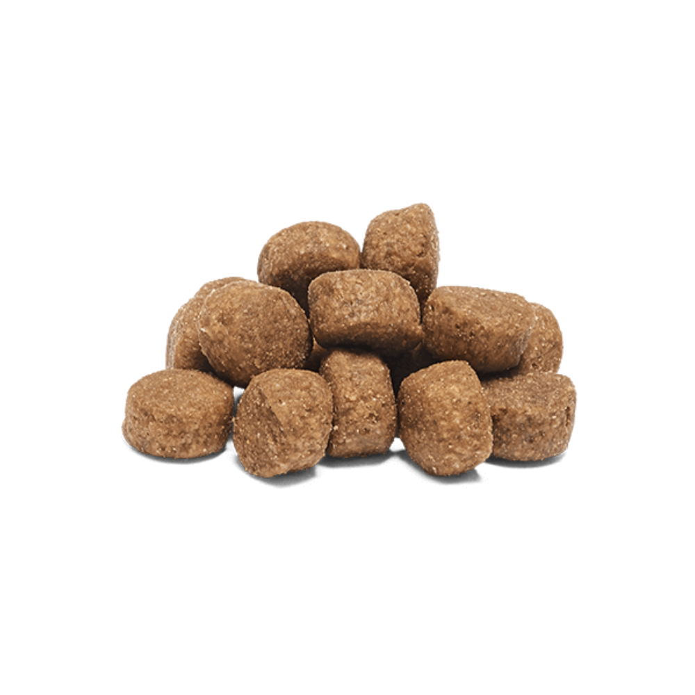 Doggy Professional Grain Free